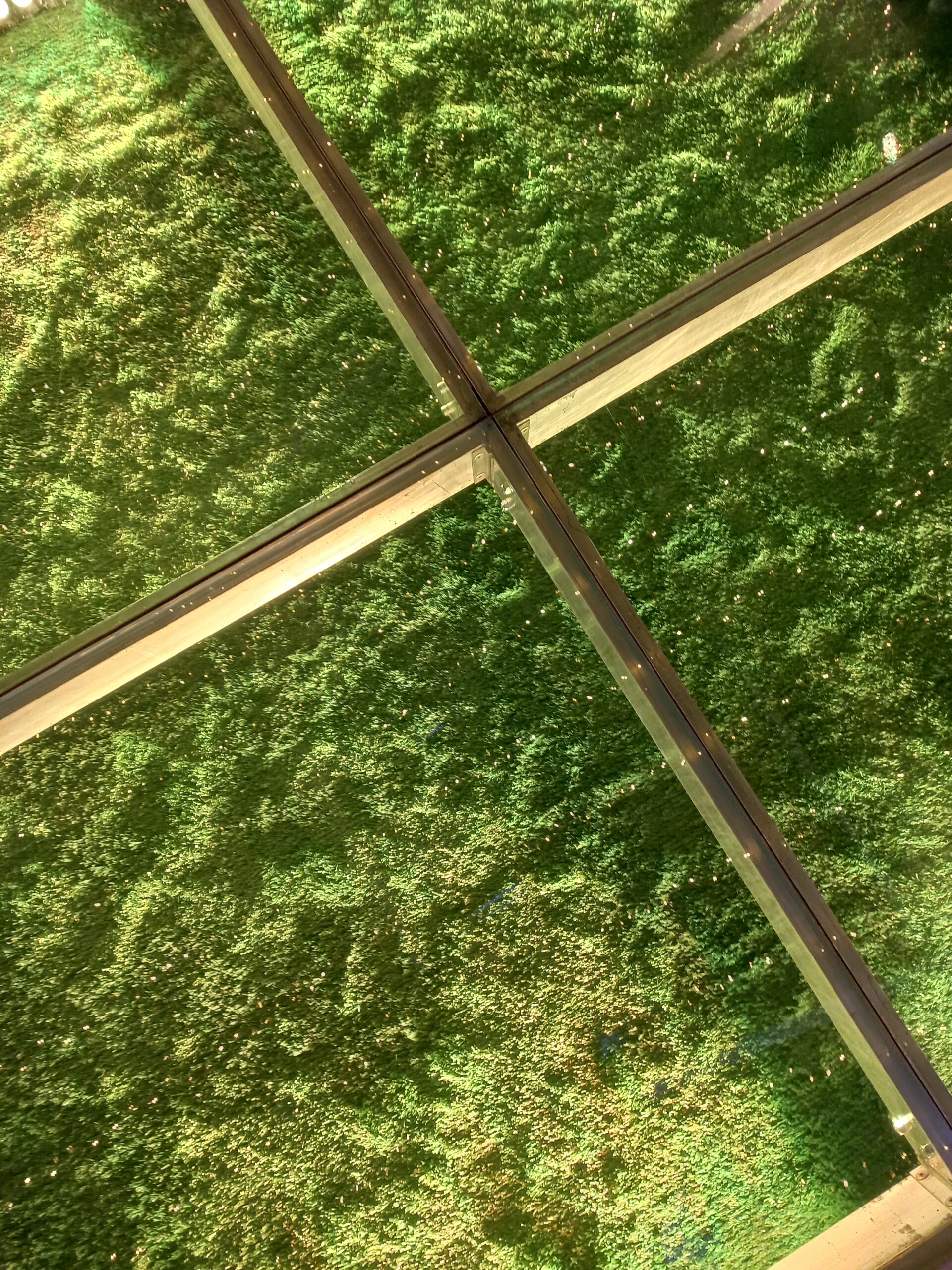 20230120_190207